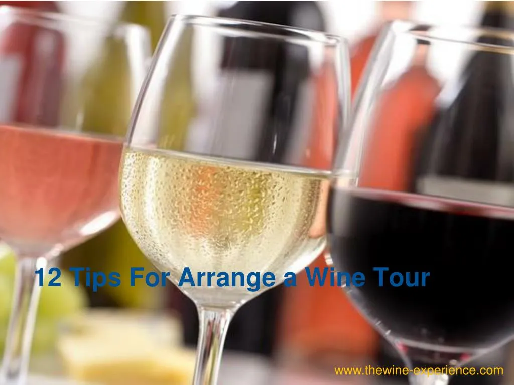 12 tips for arrange a wine tour
