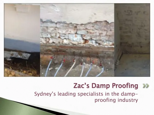 Make Your Home Damp Free with the Best Damp Proofing Specialists of Zacs Damproofing