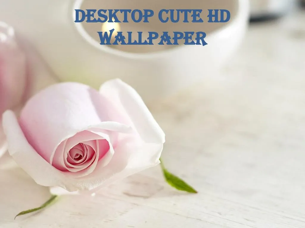 desktop cute hd wallpaper
