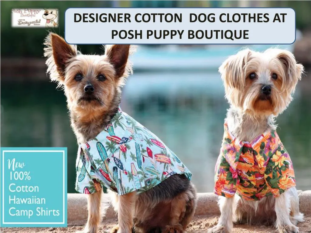 designer cotton dog clothes at posh puppy boutique