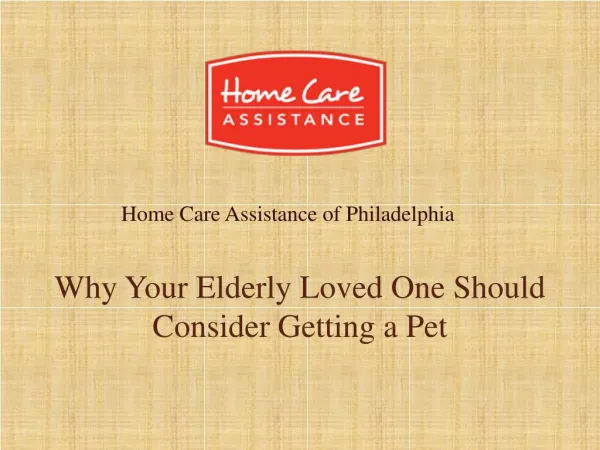 Why Your Elderly Loved One Should Consider Getting a Pet