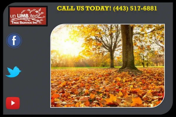 call us today 443 517 6881
