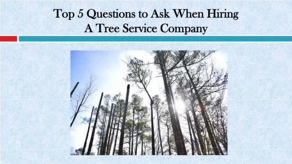 Questions to Ask When Hiring A Tree Service Company