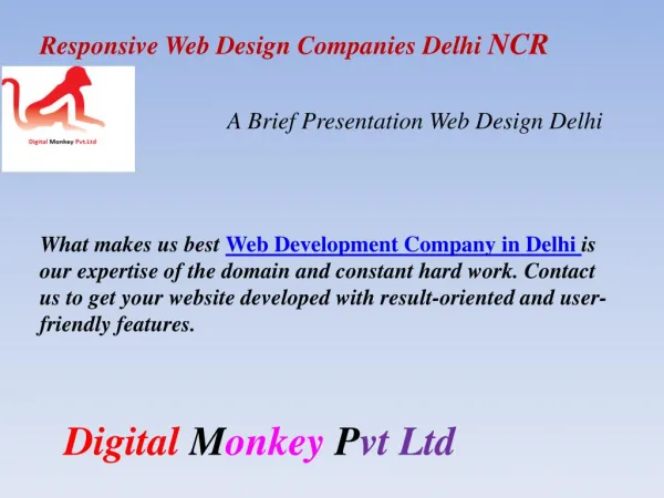 Web Design Companies Delhi NCR -Web Design India