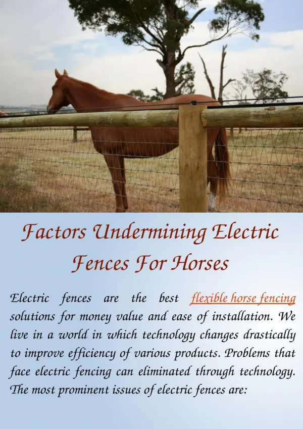 Factors Undermining Electric Fences For Horses