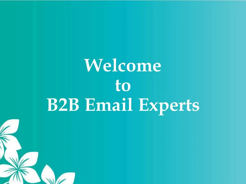 welcome to b2b email experts
