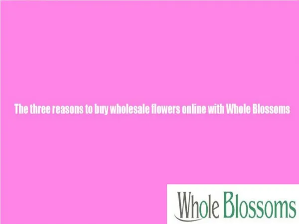 The Three Reasons To Buy Wholesale Flowers Online With Whole Blossoms