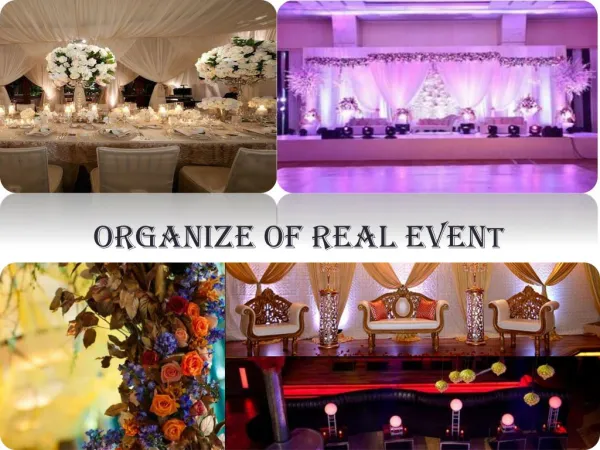 Real Event organisation