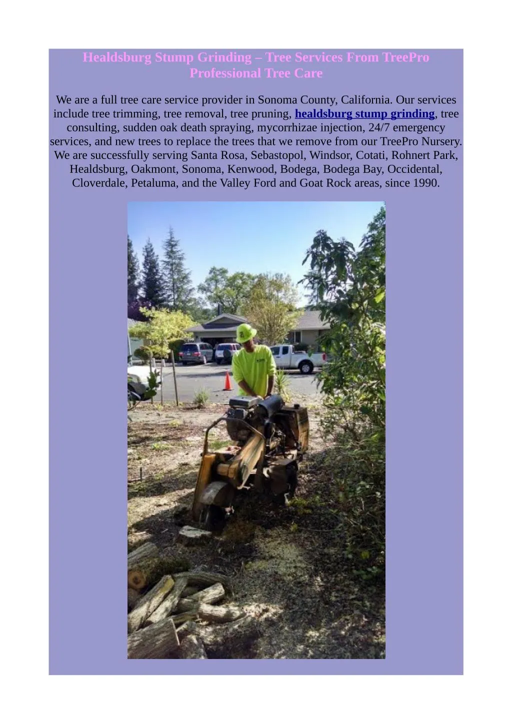 healdsburg stump grinding tree services from