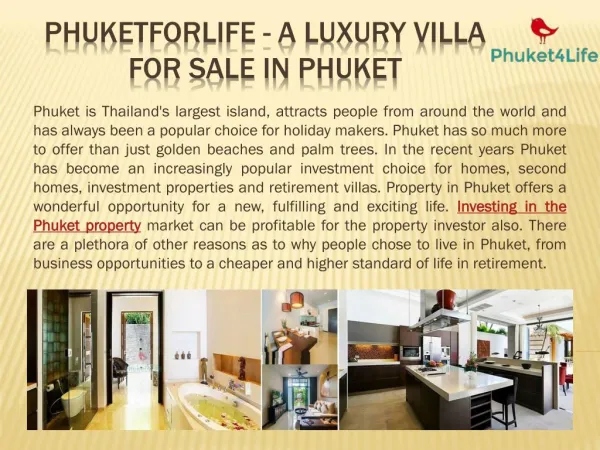 A Luxury Villa for Sale in Phuket By PhuketForLife
