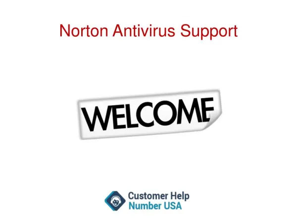 Which version of Norton is better to use free or paid!