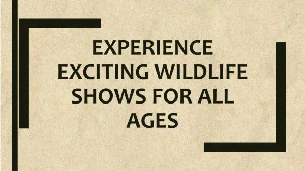 Experience Exciting Wildlife Shows for All Ages