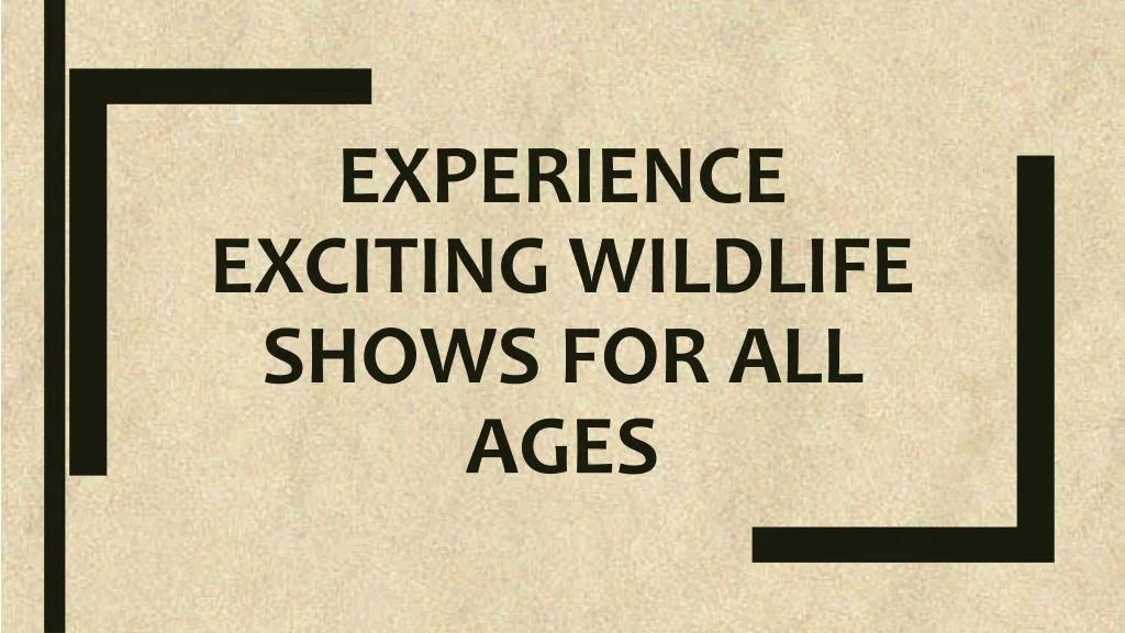 experience exciting wildlife shows for all ages