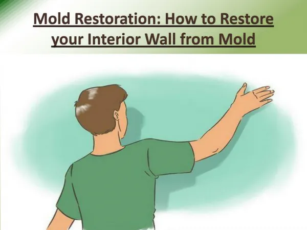 Mold Restoration - How to Restore your Interior Wall from Mold