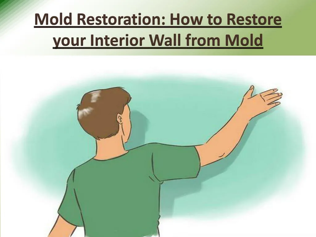 mold restoration how to restore your interior