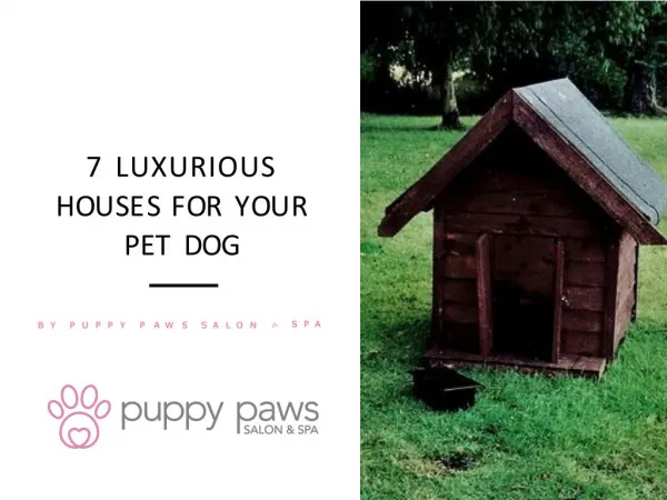 7 Luxurious Houses For Your Pet Dog