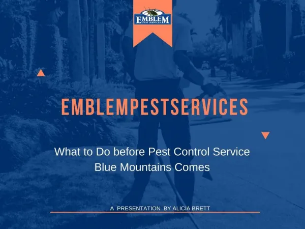 What to Do before Pest Control Service Blue Mountains Comes