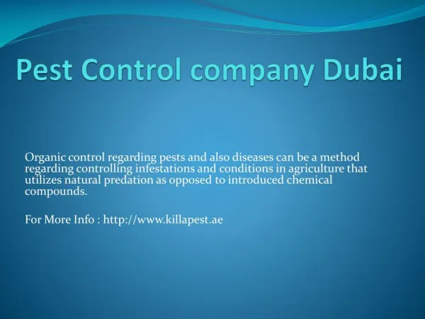 Pest Control company Dubai