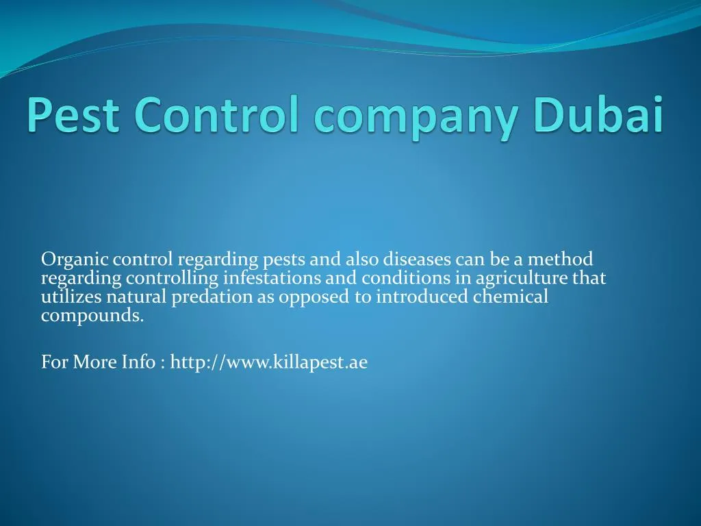 pest control company dubai