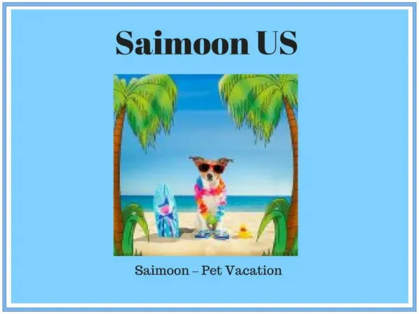 Tips of Dog Friendly Vacations - Saimoon