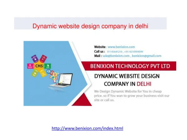 Dynamic website design company in delhi