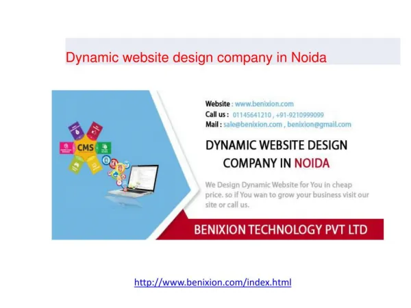 Dynamic website design company in Noida