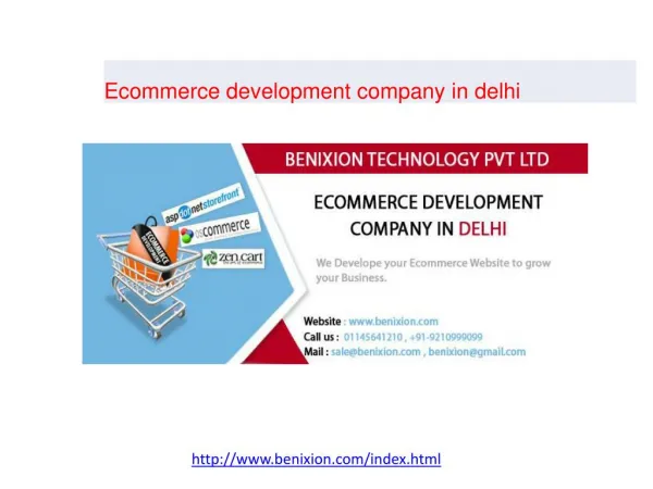 Ecommerce development company in delhi