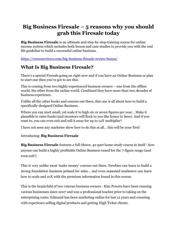 Big Business Firesale review - A cool weapon!
