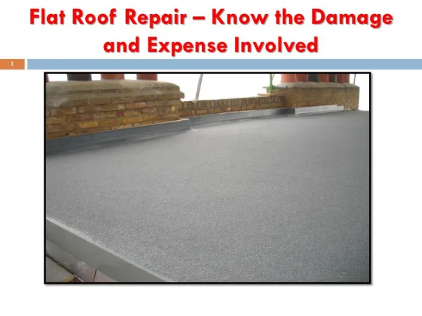 Flat Roof Repair – Know the Damage and Expense Involved