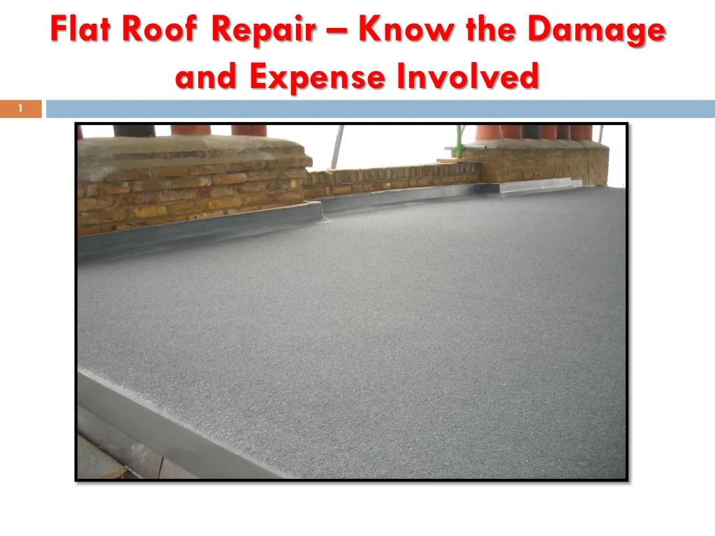 flat roof repair know the damage and expense involved