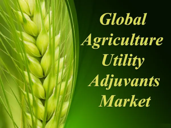 Global Agriculture Utility Adjuvants Market