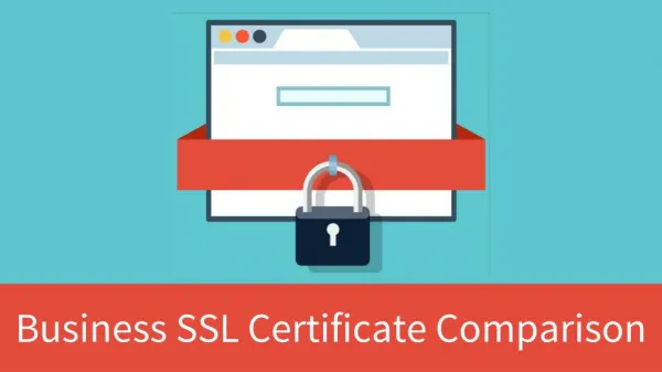 Business SSL Certificate Comparison