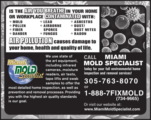 Looking for a mold removal company in Miami and Fort Lauderdale?