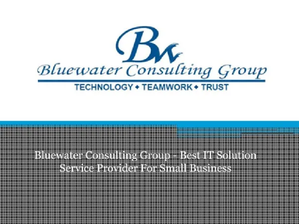 Bluewater Consulting Group - Best IT Solution Service Provider For Small Business