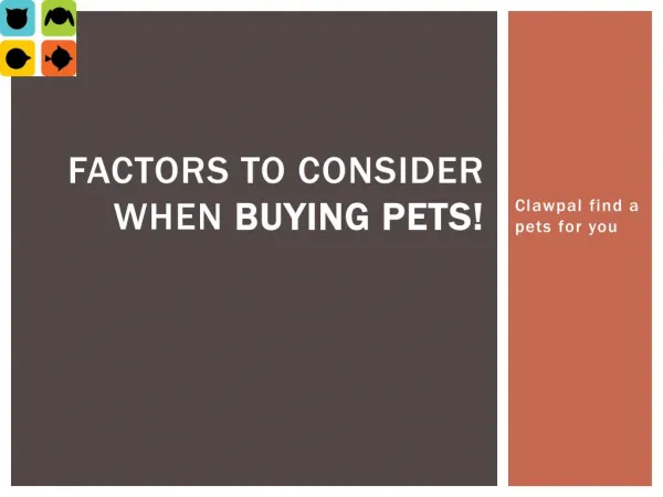 Factors to Consider When Buying Pets!