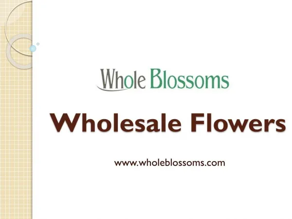 Wholesale Flowers - wholeblossoms