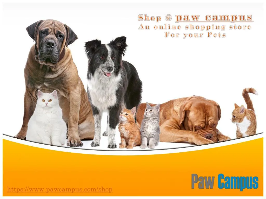 shop @ paw campus an online shopping store
