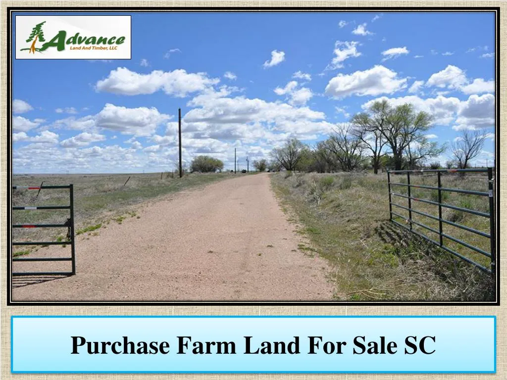 purchase farm land for sale sc