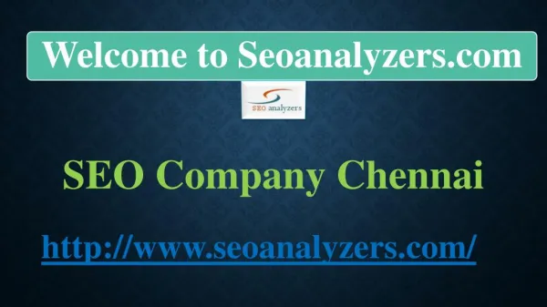 SEO Company Chennai (seoanalyzers.com)