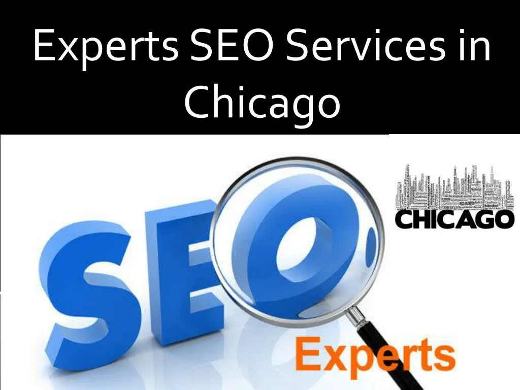 experts seo services in chicago
