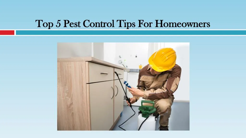top 5 pest control tips for homeowners