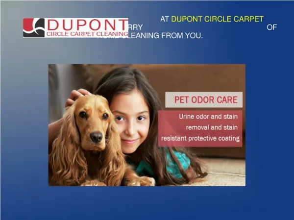 Make Your Home More Beautiful With Dupont Circle Carpet Cleaning