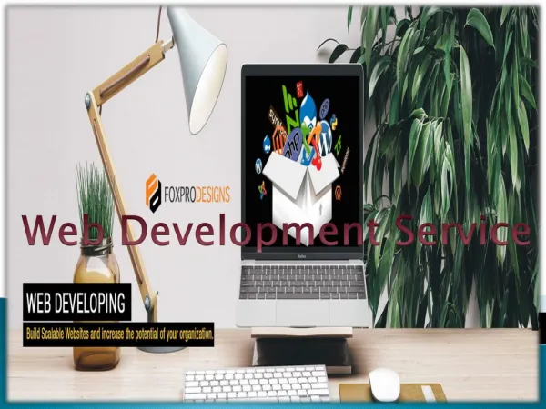 Top Web Development Service