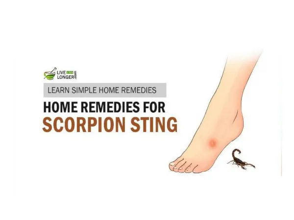 Best Home Remedies For Scorpion Stings