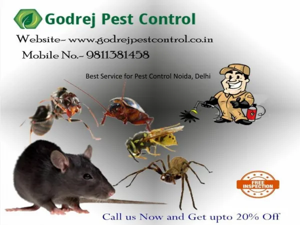 Best Service for Pest Control Noida, Delhi Call 9811381458