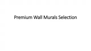 Wall Murals - slide 1
