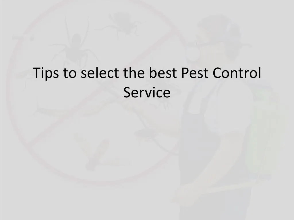 tips to select the best pest control service