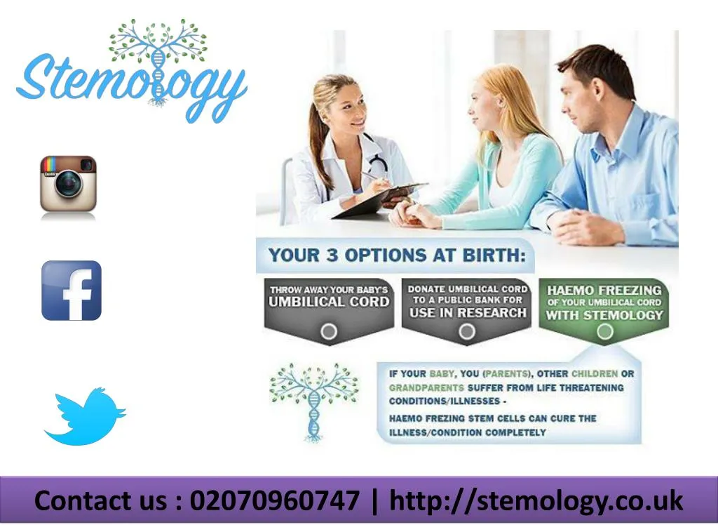 contact us 02070960747 http stemology co uk