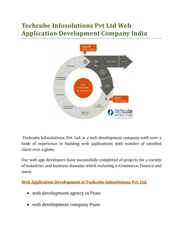 Techcube Infosolutions Web Application Development India