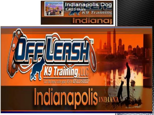 Indianapolis dog trainers Company in USA